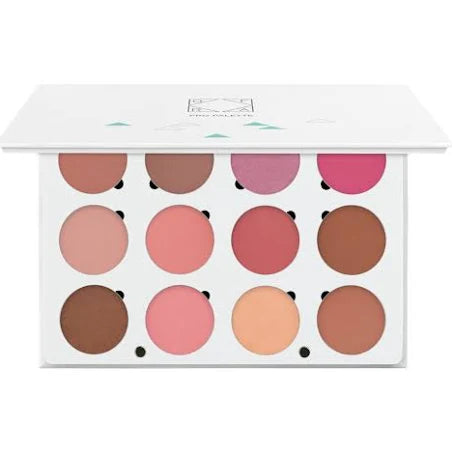 Ofra OFRA Professional Makeup Palette - Blush Size 300g